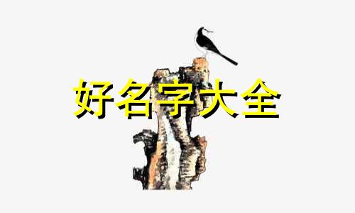 荣康起名字如何取名字寓意