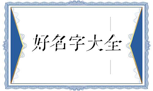 如何给一只玩具猪起名字