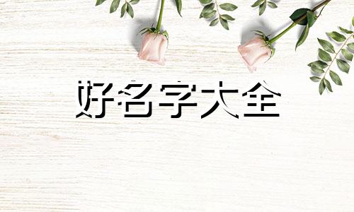 做观赏鱼小红书如何起名字