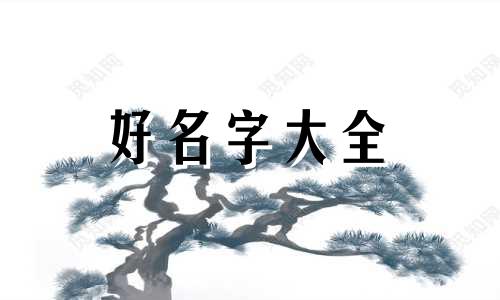 公司名称如何起名好听一点
