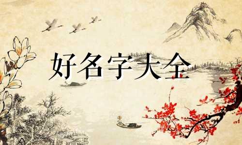 如何起名爱豆英文名称大全