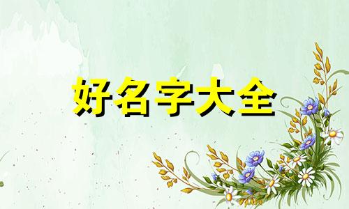 女博主如何起名字大全好听