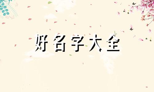 猪肉食品公司如何起名称