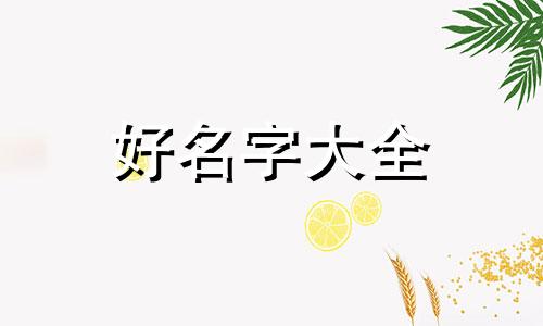 如何给鹌鹑蛋起名字呢大全