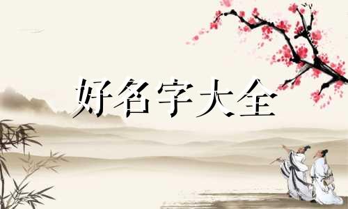 自然人独资企业如何起名字