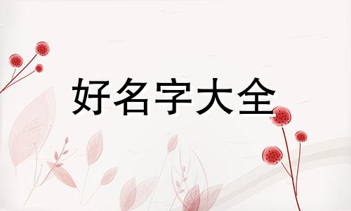 轻食博主如何起名好听一点