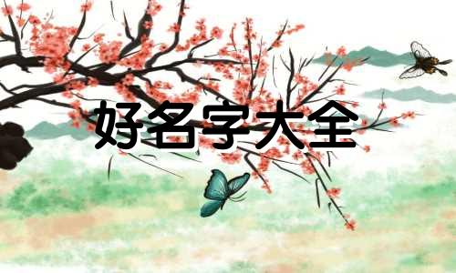 民办学校如何起名称和名字