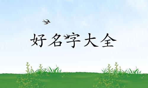 姓林五行如何组合起名字