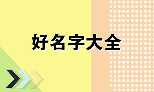 新手如何给乌龟起名称四字