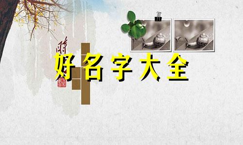如何给养宠物的店铺起名字呢