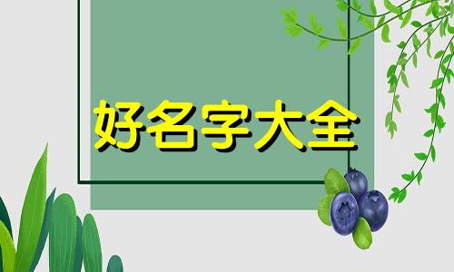 小狗该如何起名字好听一点