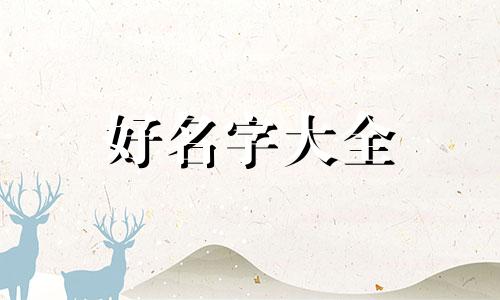 一只猫如何起名字大全可爱