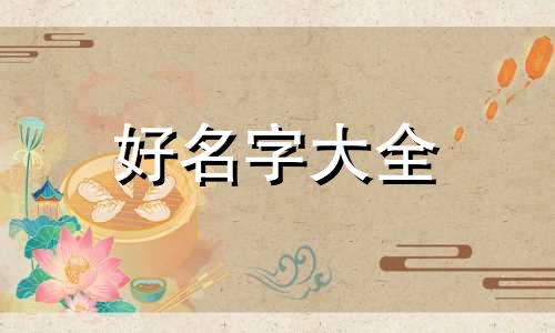 张姓五行如何起名字好听