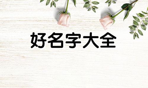 蒋姓男宝宝正字辈如何起名字