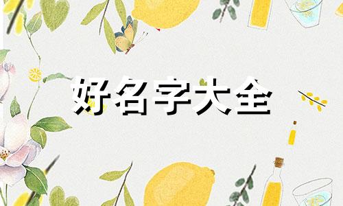 如何起名字给小男孩起好听