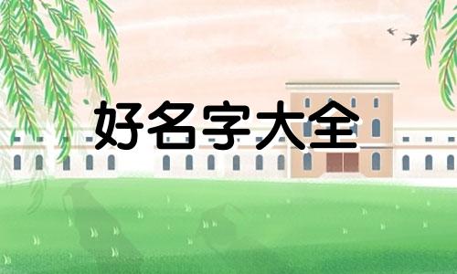 如何给一个组织起名字英文