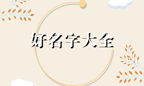 电动车电池名字如何起名字好听