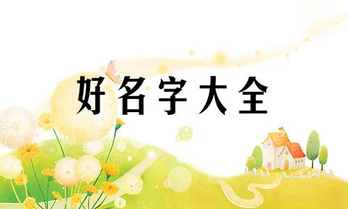 买卖房屋中介如何起名字