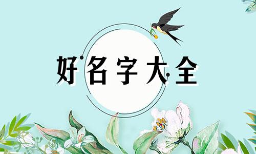 小院如何起名字好不好听