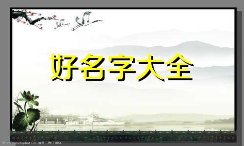 小猫咪如何起名更好听一点