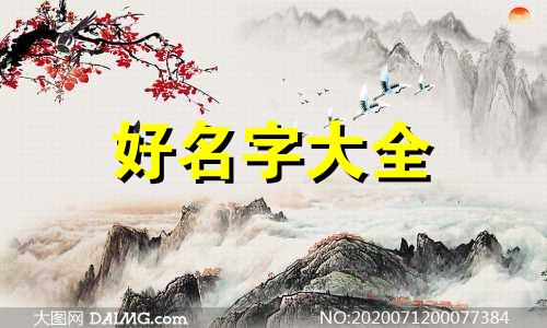丁巳日柱如何起名字女孩子