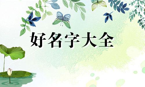 麻辣兔如何起名字好听一点