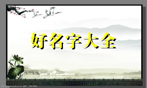 给娃娃鱼如何起名称和寓意
