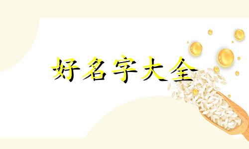 给狗宝宝如何起名好听一点