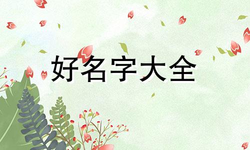 鞋服店如何起名字吸引人
