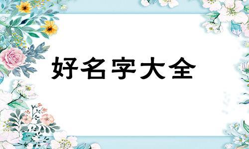 行业号如何起名字好听一点