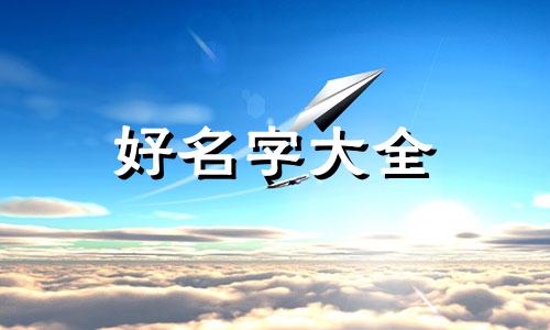 开三文鱼店如何起名字