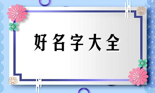 黑色猫如何起名字霸气一点