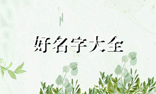 开一家有色金属如何起名