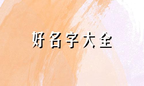 该如何给自行车装饰起名字
