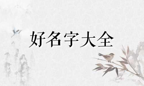 龙凤胎新生儿如何起名字