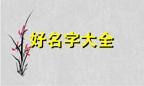 潘姓和吴姓如何起名字女孩