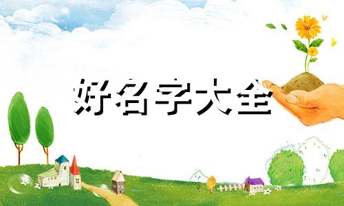 给猫起名字如何能让它适应