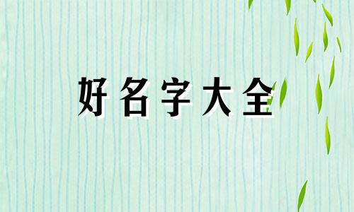 如何给猫咪起名字好听一些