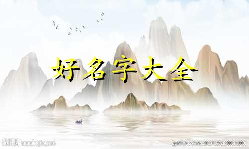如何给茶叶品牌起名字大气洋气女