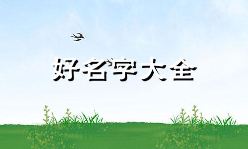 二次元网站如何起名子呢