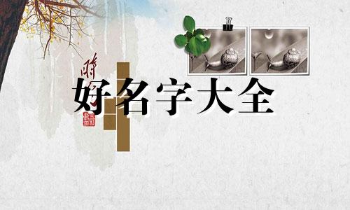 己亥年八字如何起名字女