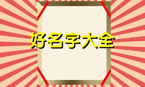 如何给鸟类起名字好听一点