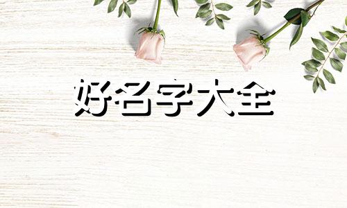商业号如何起名字好听一点