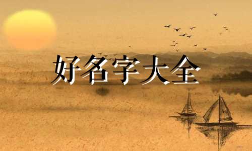 如何给一个网站起名称