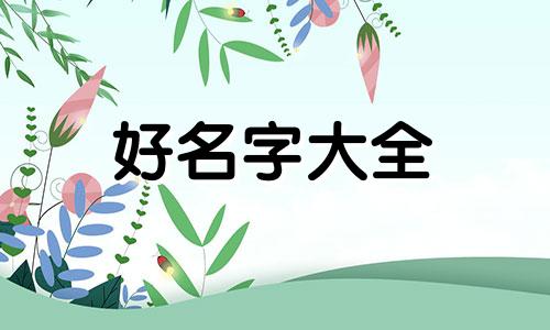 如何给男猫起名字大全好听