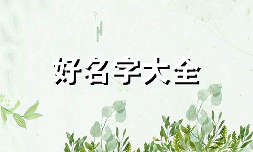运动店如何起名字好听一点