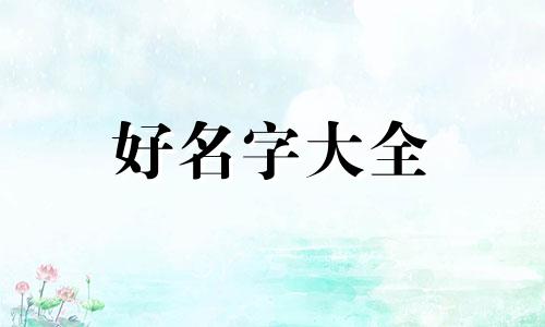 沈蔡如何起名好听一点的名字