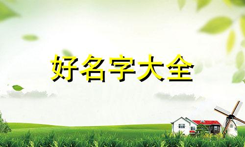 如何用词典起名字好听的名字