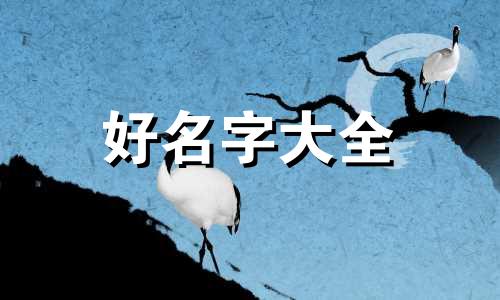 12月出生虎宝宝如何起名