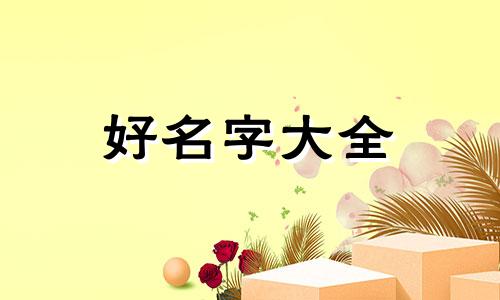 如何给虚拟人物起名称字体